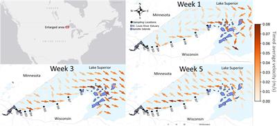 Invasive Dreissena Mussel Coastal Transport From an Already Invaded Estuary to a Nearby Archipelago Detected in DNA and Zooplankton Surveys